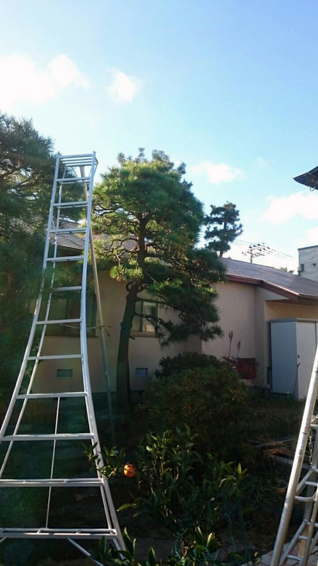 Before Before