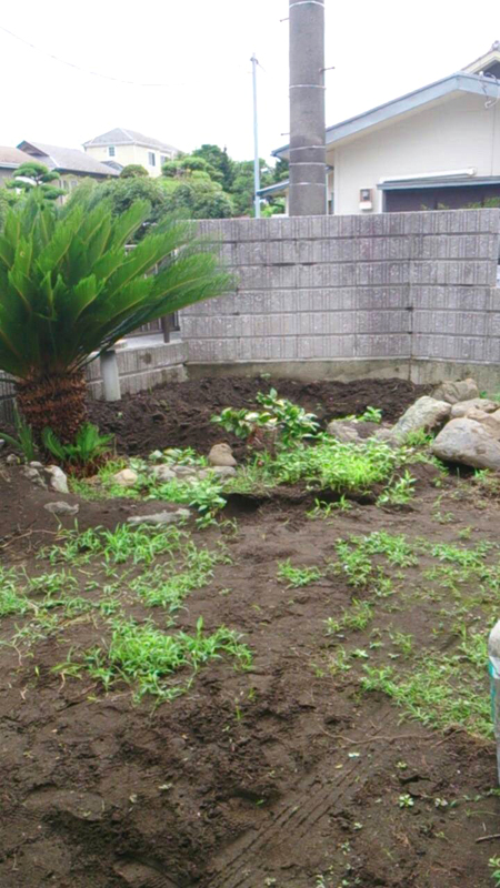 Before Before