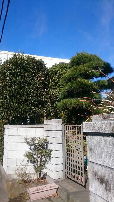 Before Before